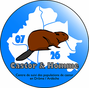 Castor et Homme