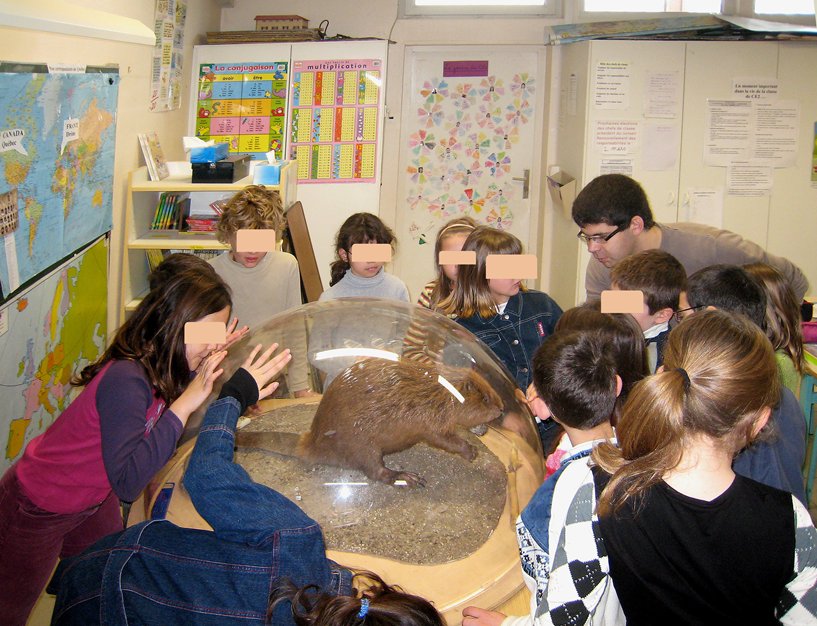 AnneCartier_classe (9) c2 (Copy)
